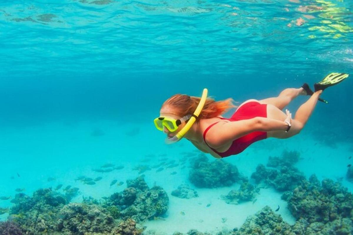 seorang wanita dalam pakaian renang dan cermin mata berenang di dalam air