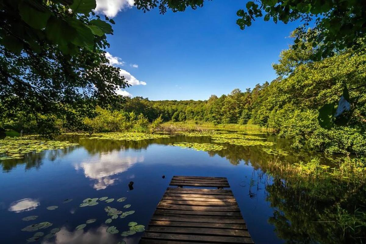 ein Holzsteg an einem See mit Bäumen und Wolken am Himmel