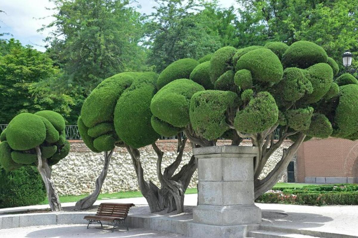 a park with a bench and green trees