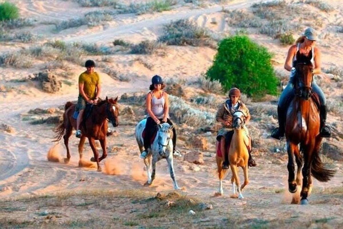 un grup de persones muntant a cavall per un camí de terra