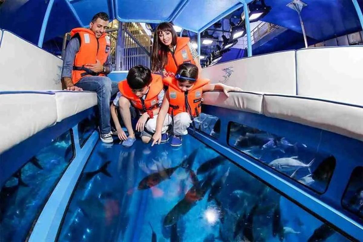 een groep mensen in een aquarium die naar vissen kijken