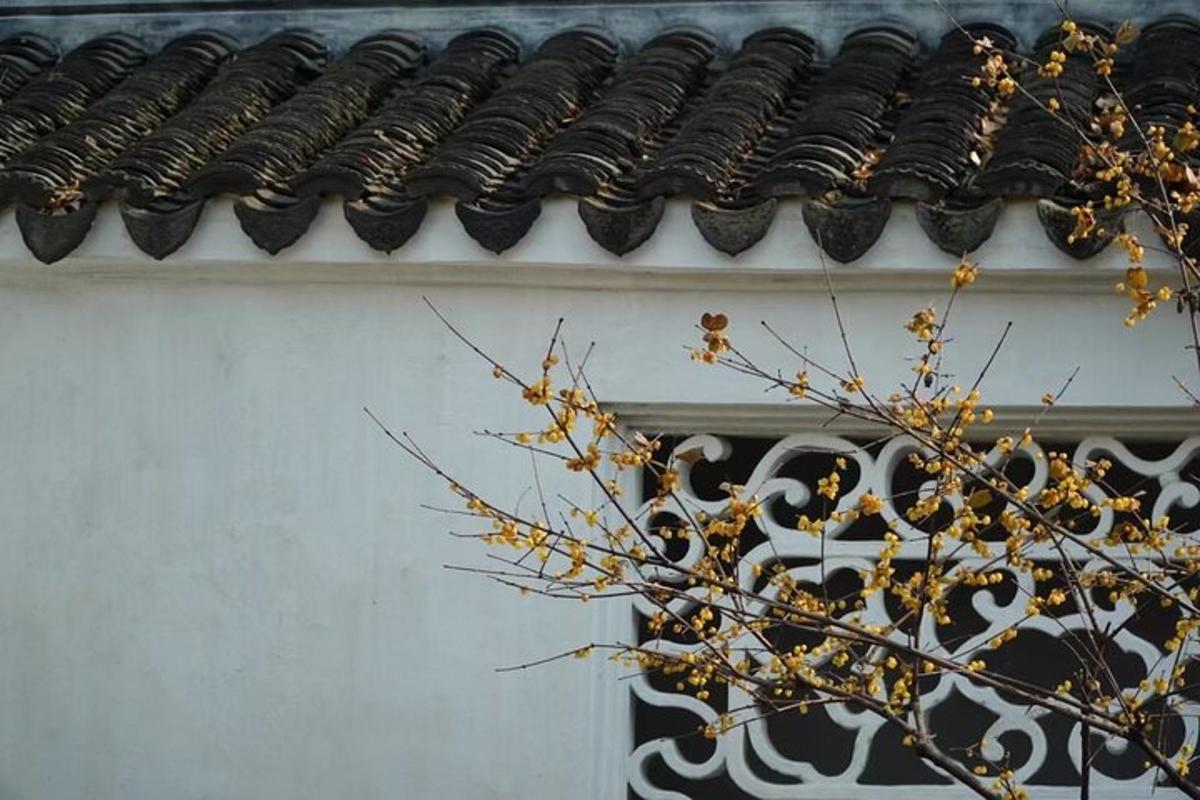 建筑物的屋顶，前面有一棵树