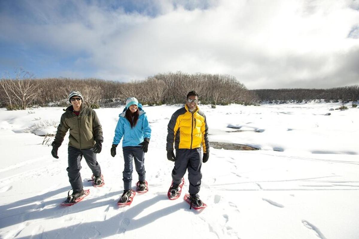 tatlong tao ang nakatayo sa snow sa ski