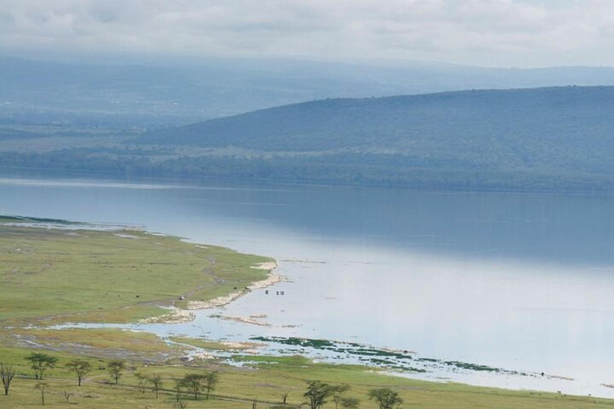 una vista aèria d'una gran massa d'aigua