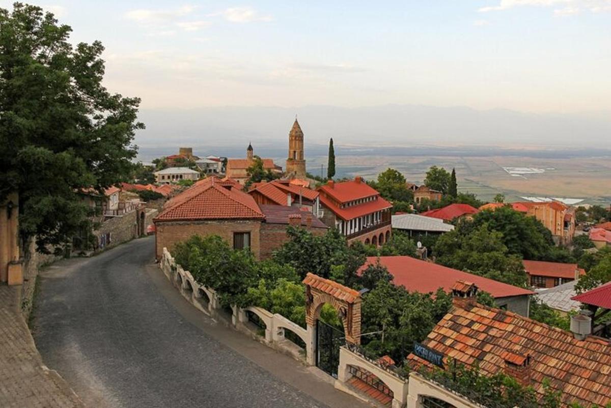 pogled na mesto z ulico in stavbami