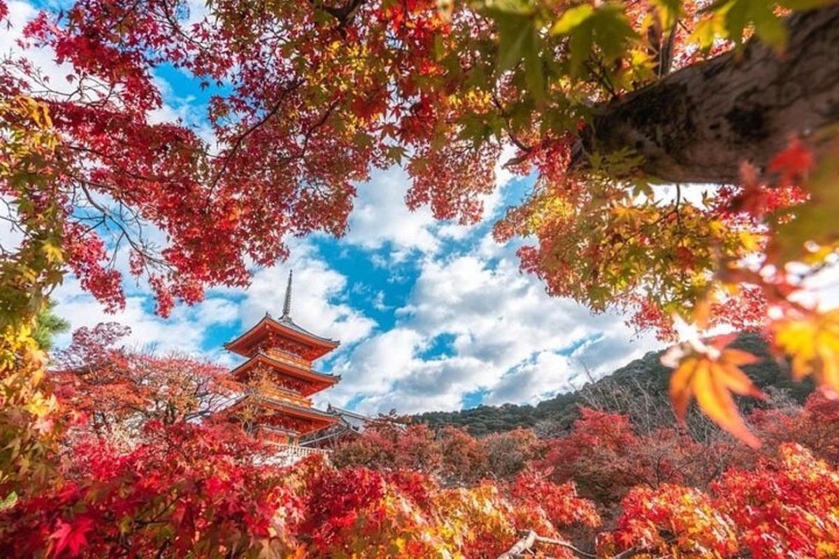 a pagoda in the middle of a forest of trees