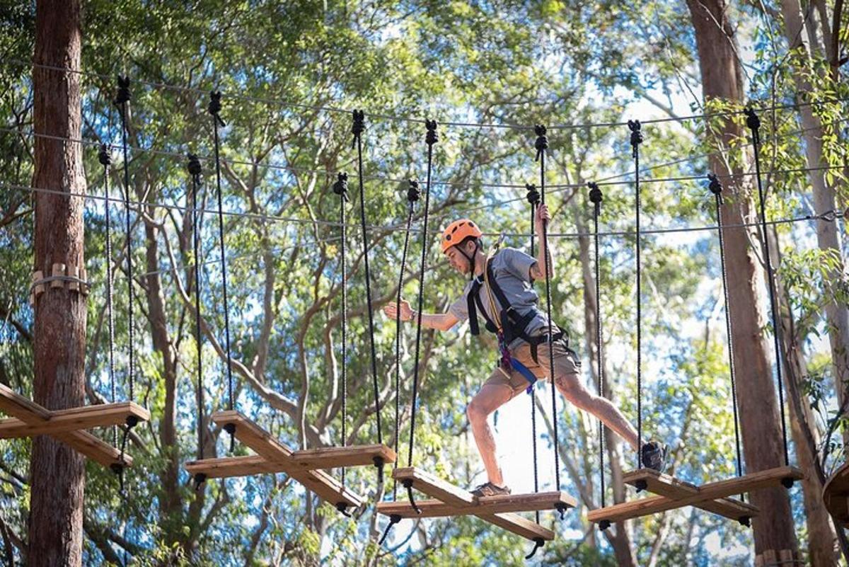 muž na zip line ve stromech