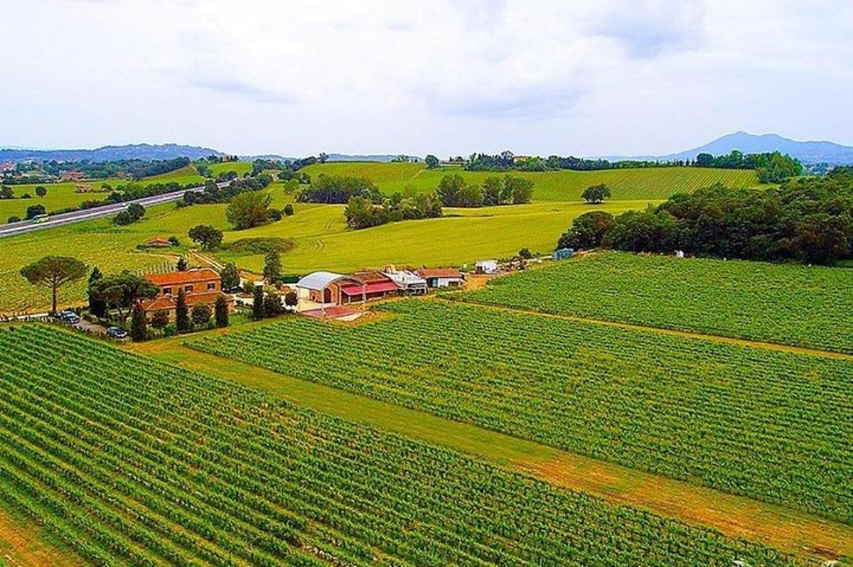 an aerial view of a farm in a field