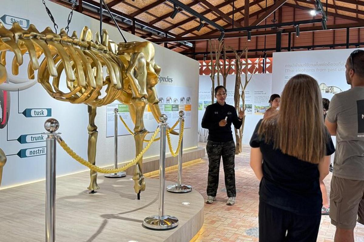 skupina lidí prohlížejících si kostru dinosaura