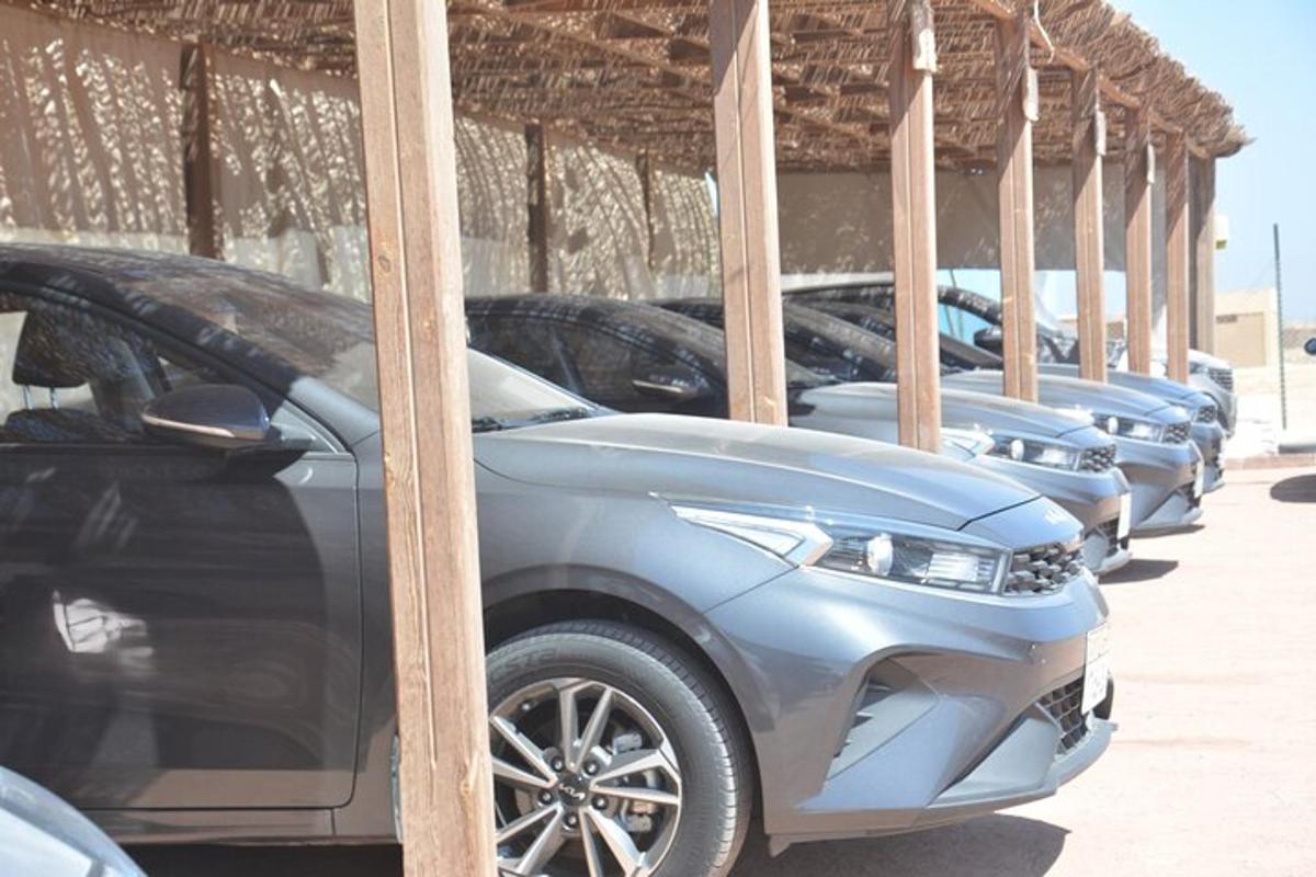una fila de coches aparcados estacionados en fila