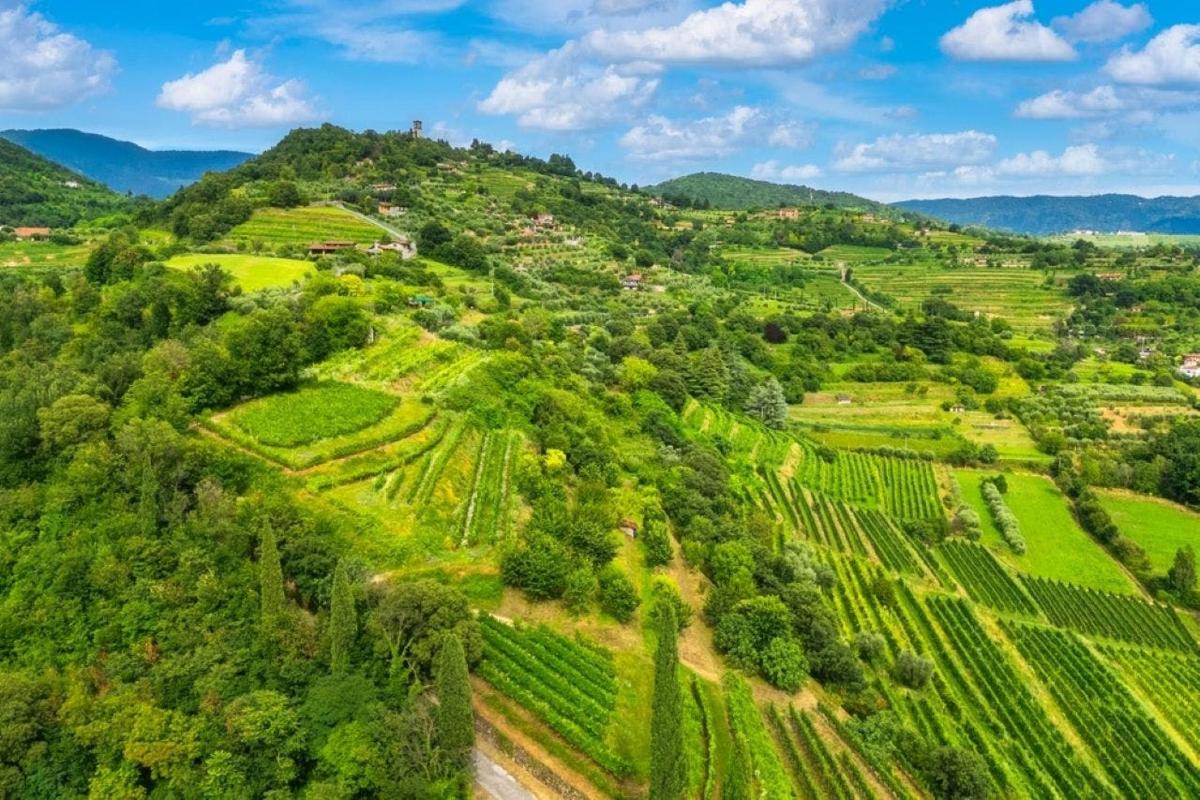 Foto dell’attrazione numero 6