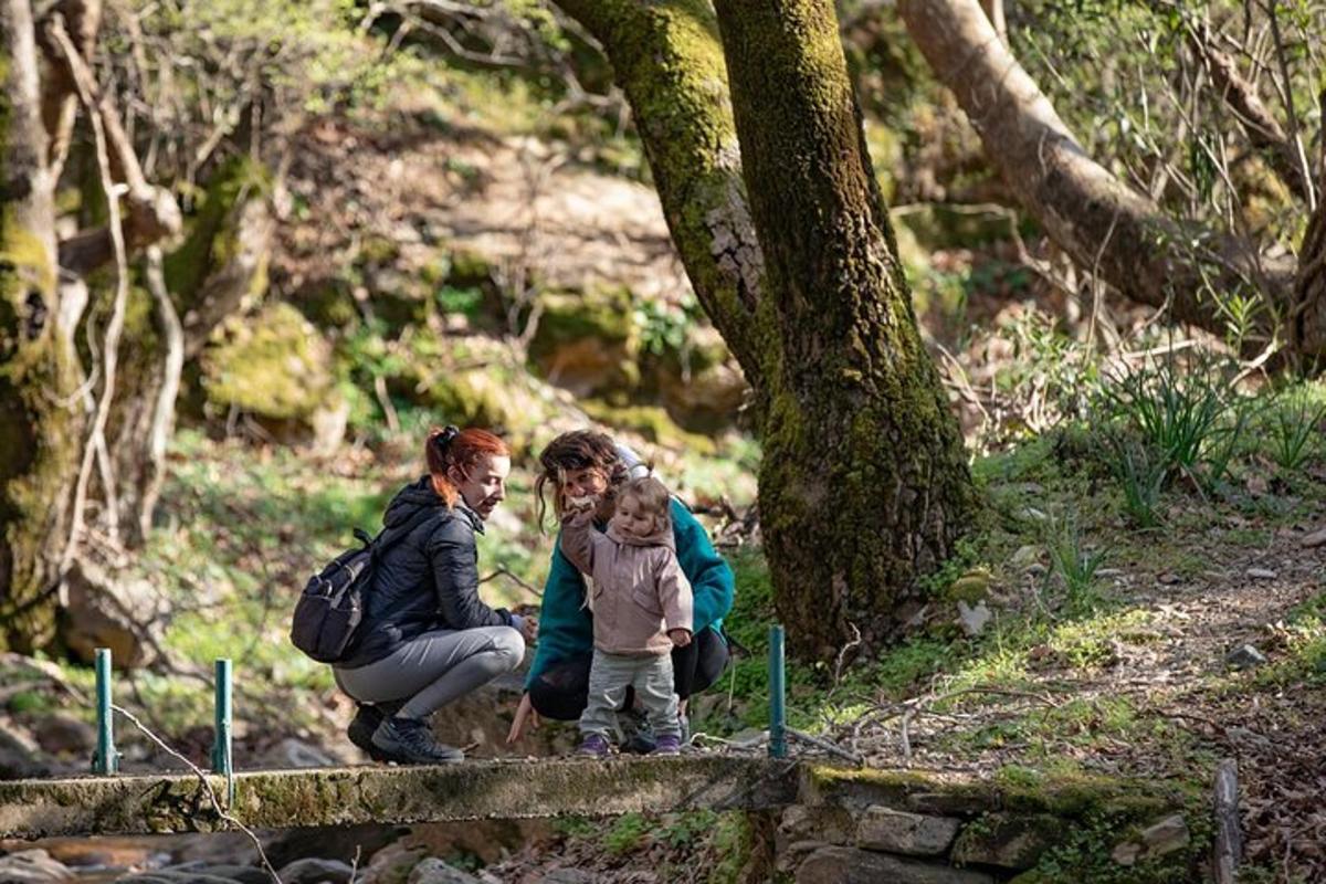 a woman and two children standing on a rock near a tree