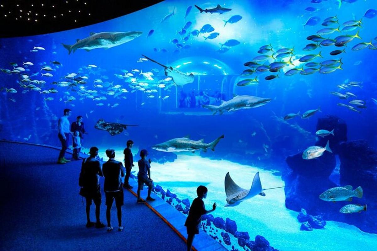 eine Gruppe von Menschen steht vor einem großen Aquarium