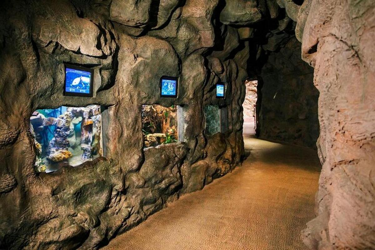 eine Höhle mit einer Felswand mit Lichtern darauf