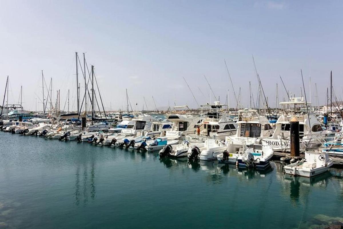 مجموعة من القوارب راسية في الميناء