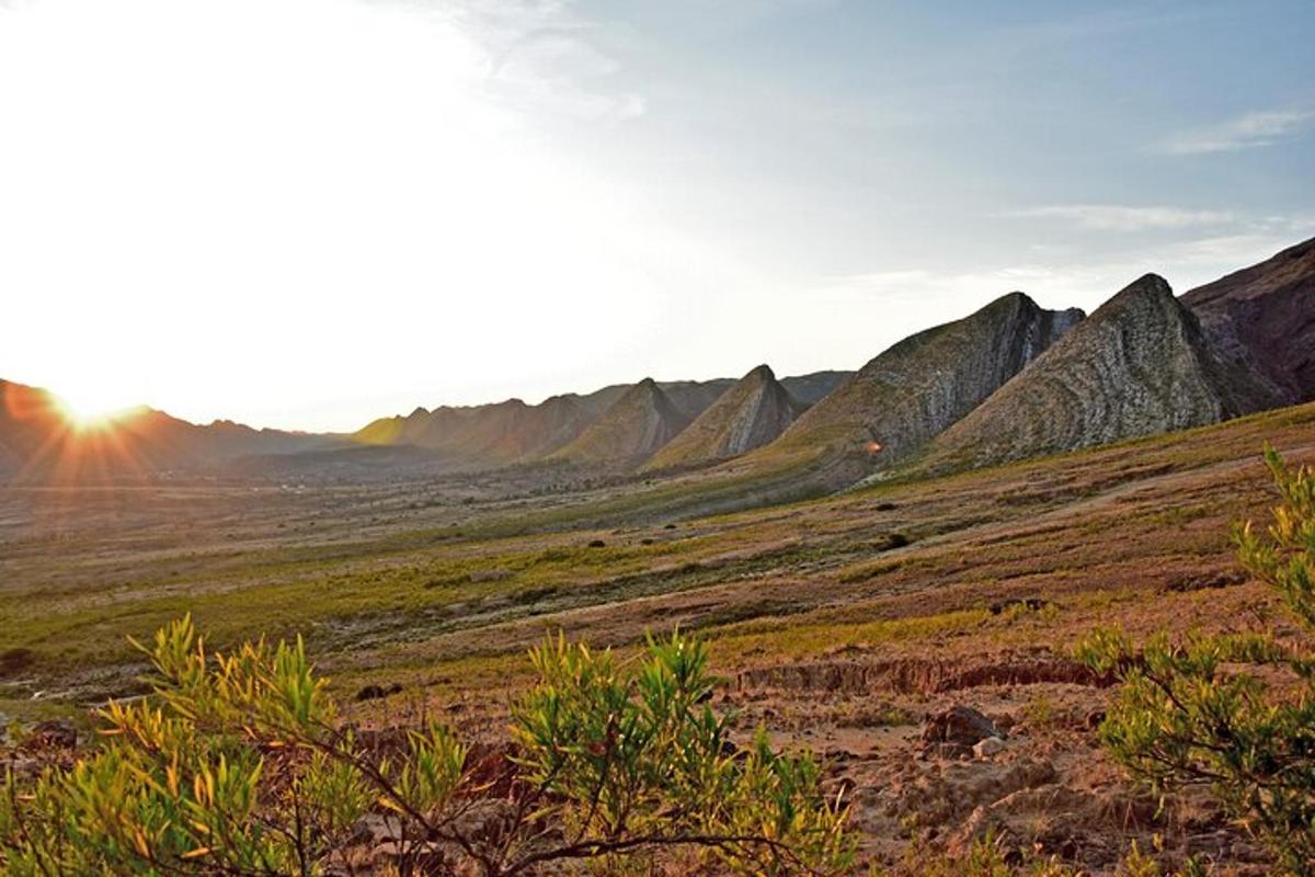 Una vista de un campo con montañas al fondo.
