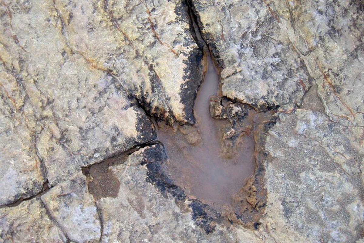 un charco de agua en unas rocas