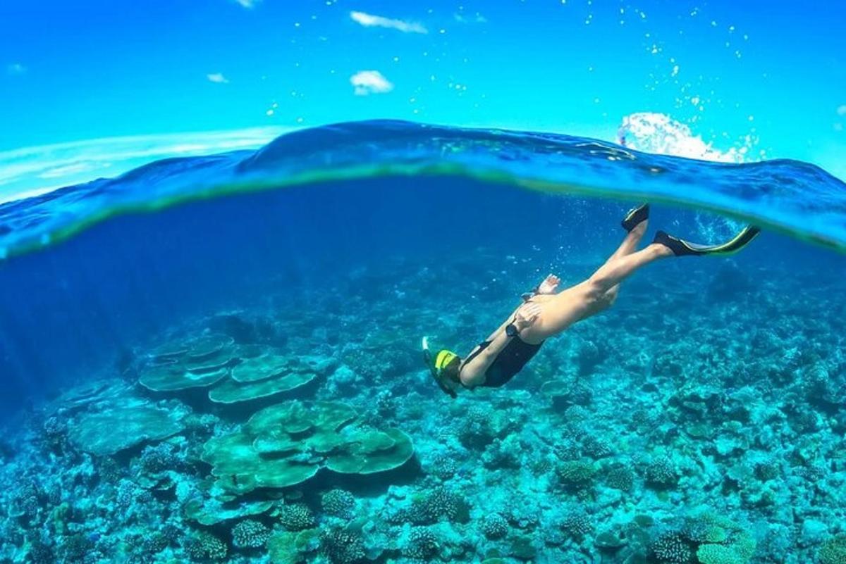 eine Person schwimmt im Ozean unter Wasser
