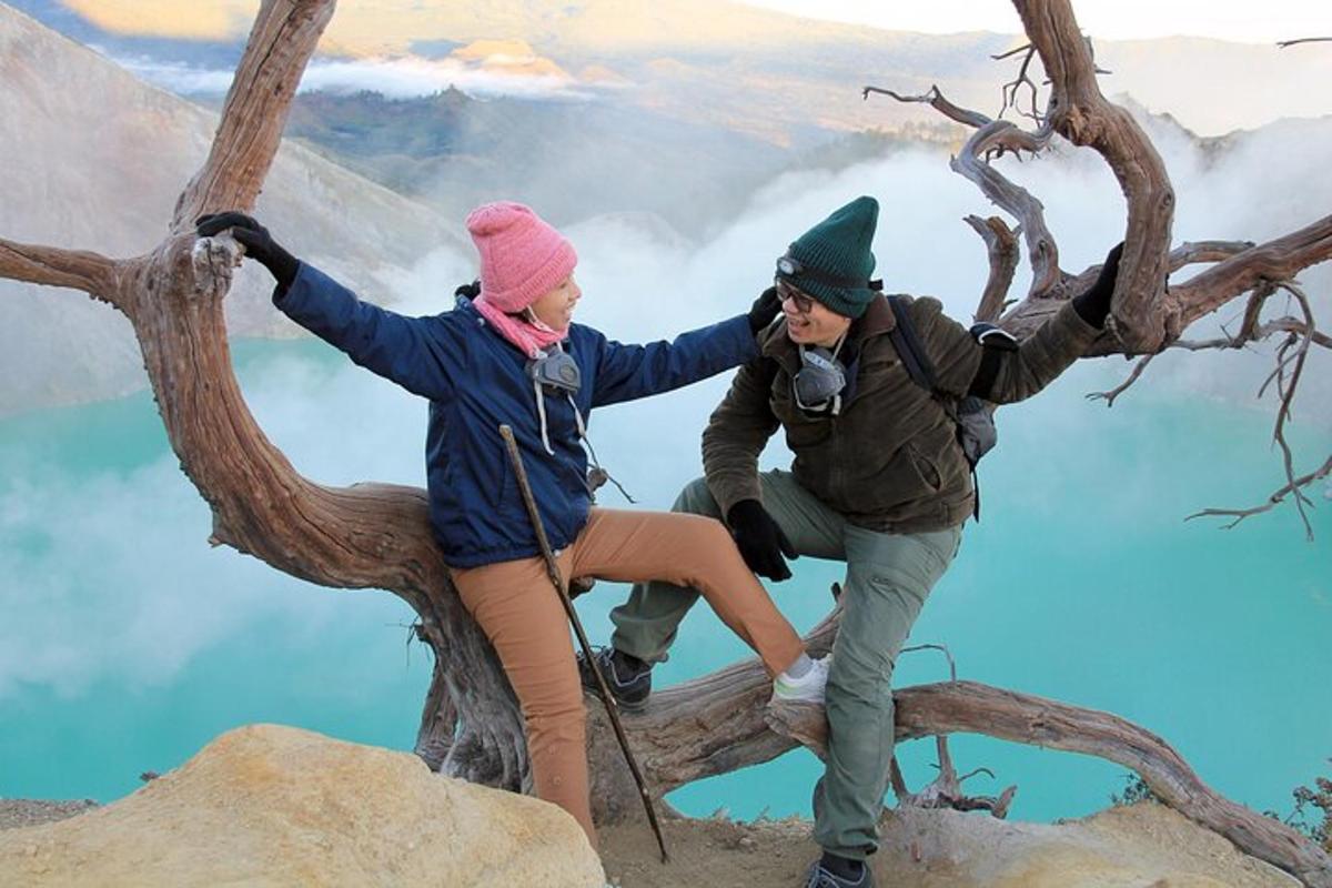 duas pessoas em pé no topo de uma árvore