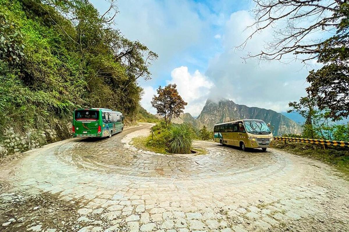 due autobus sono parcheggiati su una strada sterrata