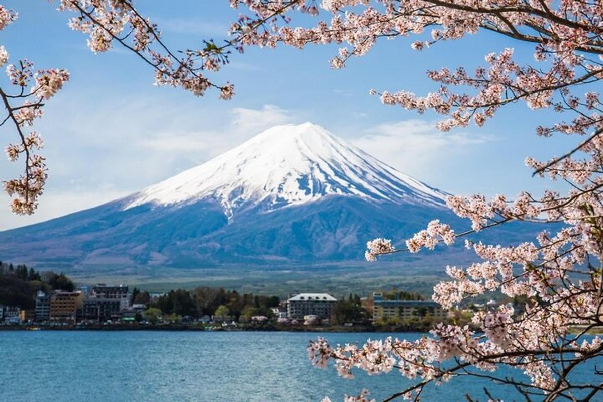 雪に覆われた山と湖、そして桜の木々