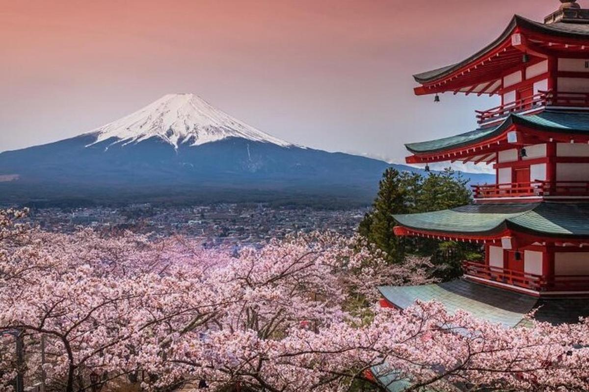 遠くに2つの建物と桜の木がある山