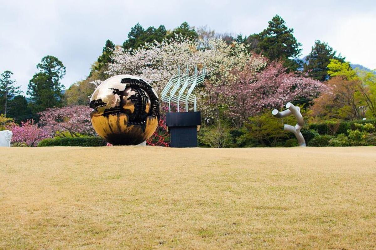 背景に木々がある野原にある大きなボール
