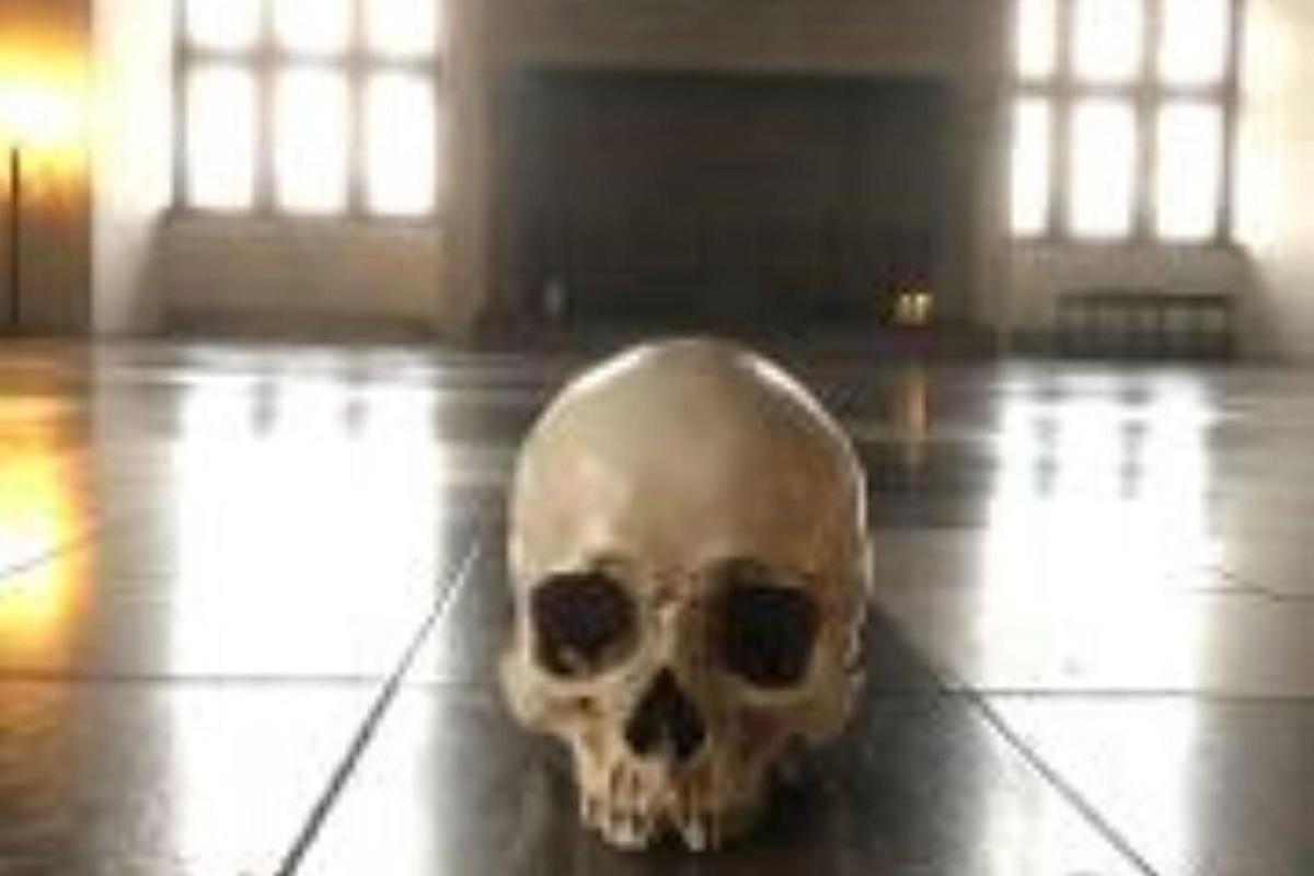 una calavera al terra d'una habitació