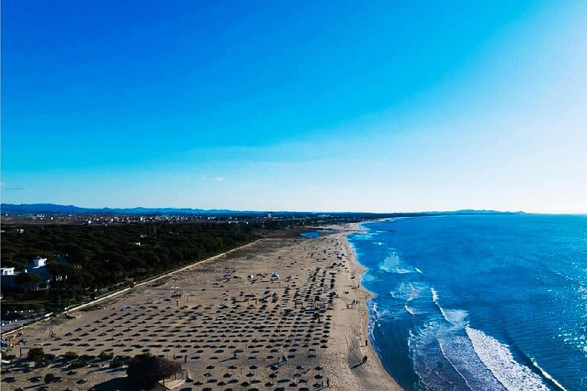 pemandangan udara pantai dengan orang ramai di atasnya