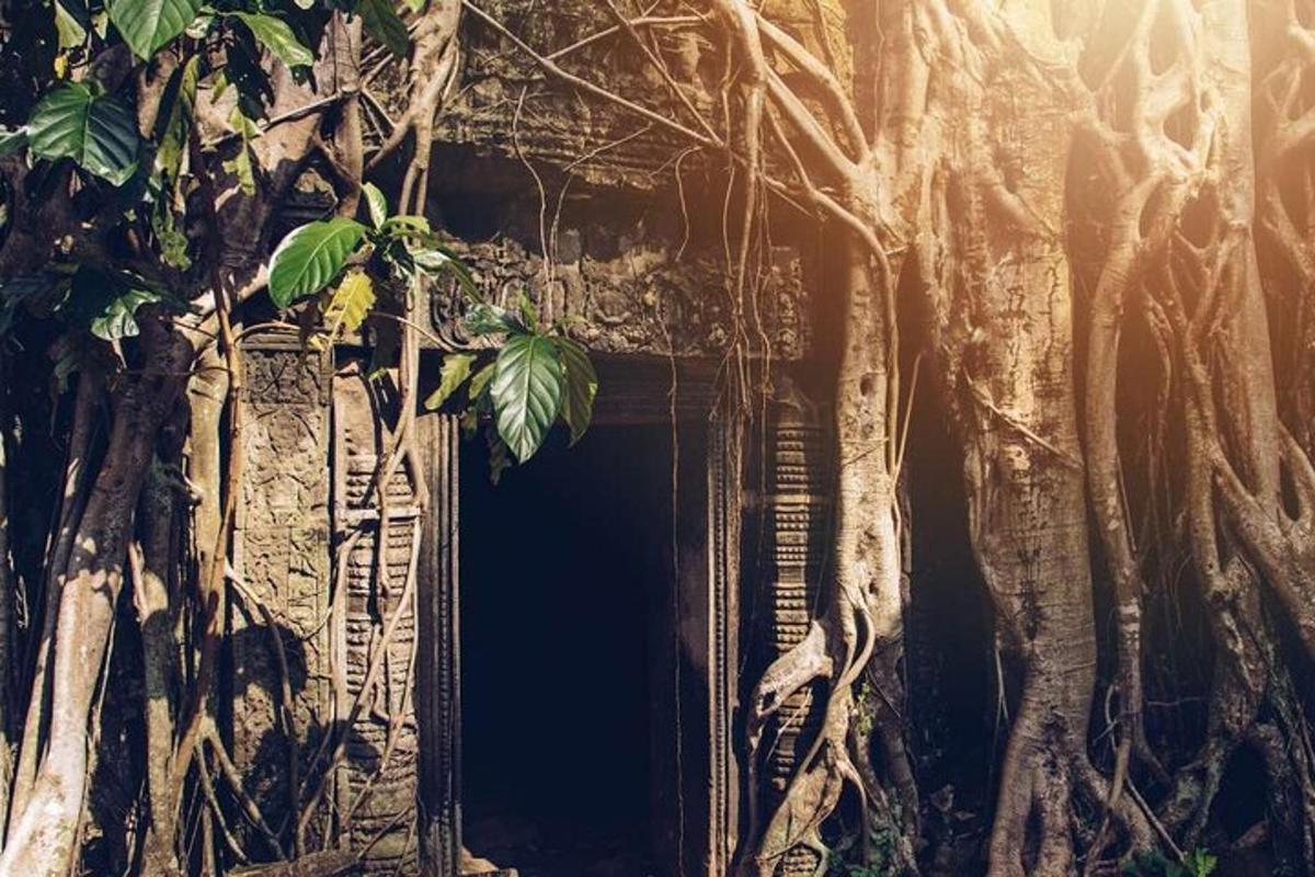 sebuah bangunan dengan pohon yang tumbuh di sekitar pintu masuk