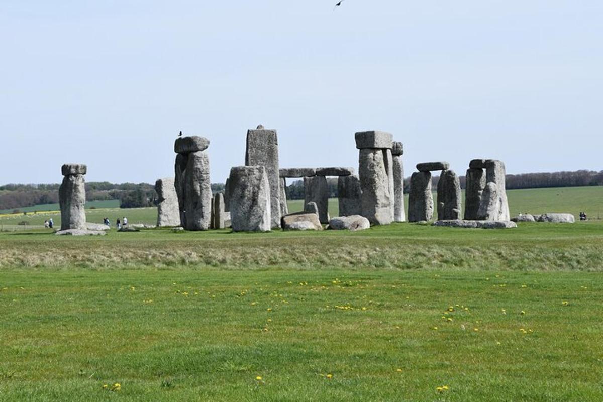 en mark med et Stonehenge-monument i en mark