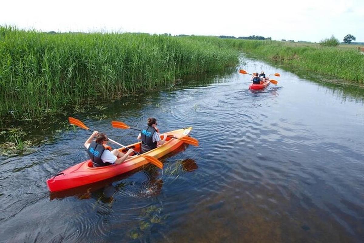 a group of people in kayaks on a river