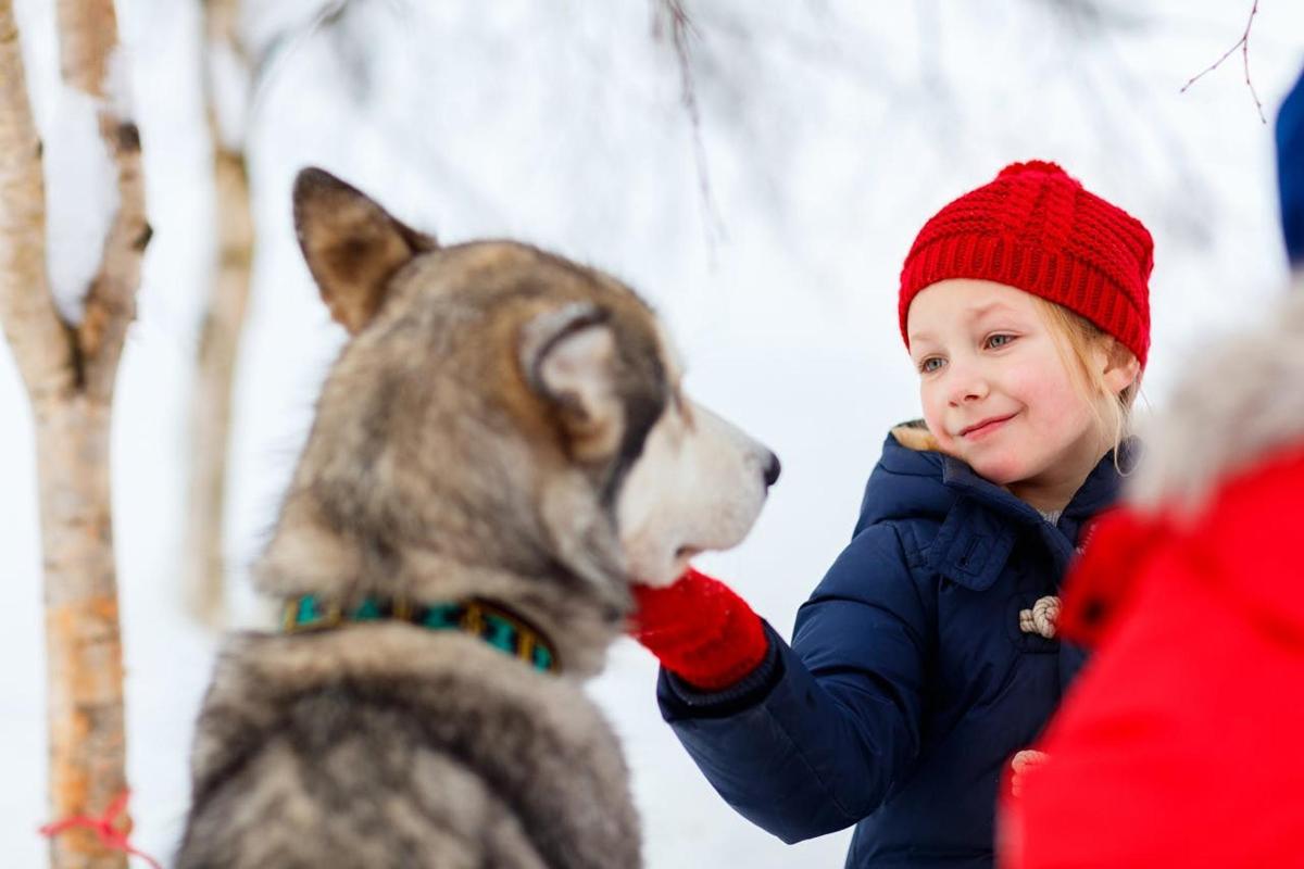 een jong meisje dat een hond in de sneeuw voedt