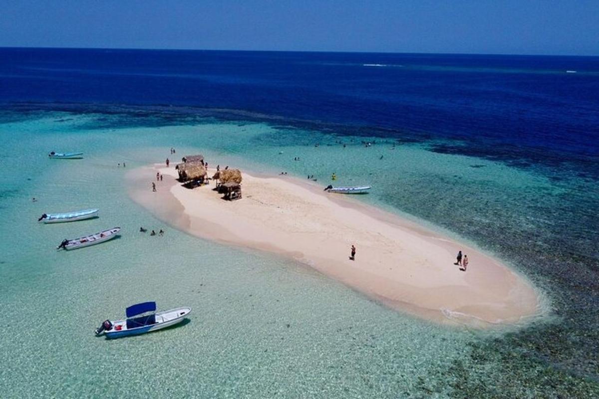 a group of people on a beach in the ocean