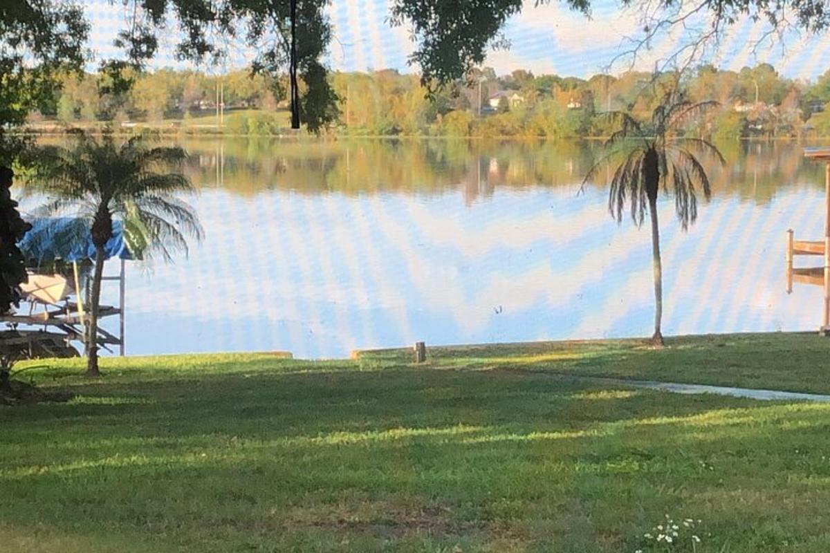 una vista di un lago con una panchina e un albero