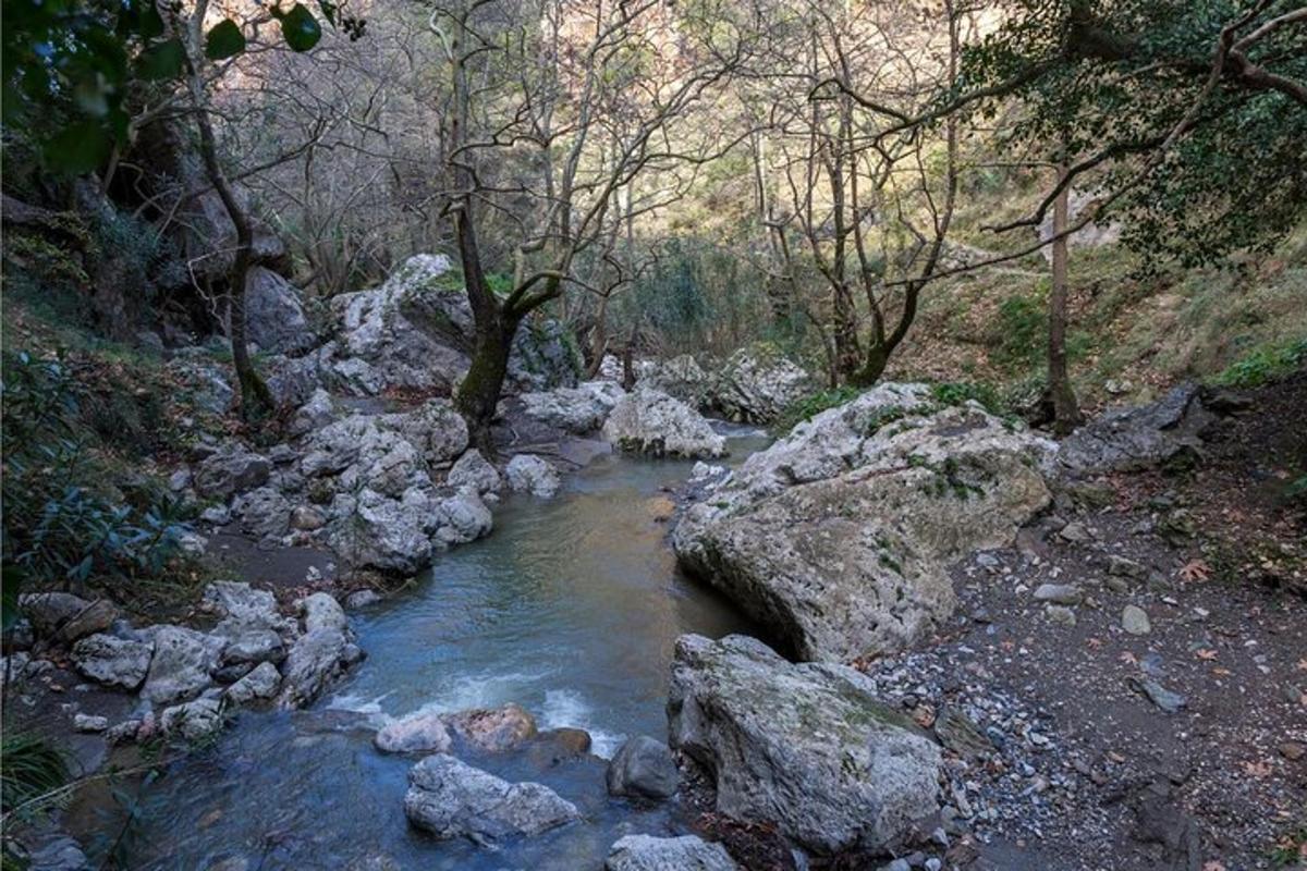 a stream of water with rocks in a forest
