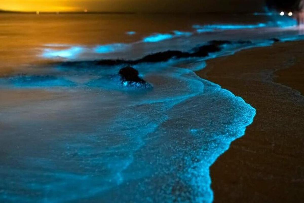 pantai pada waktu malam dengan lautan