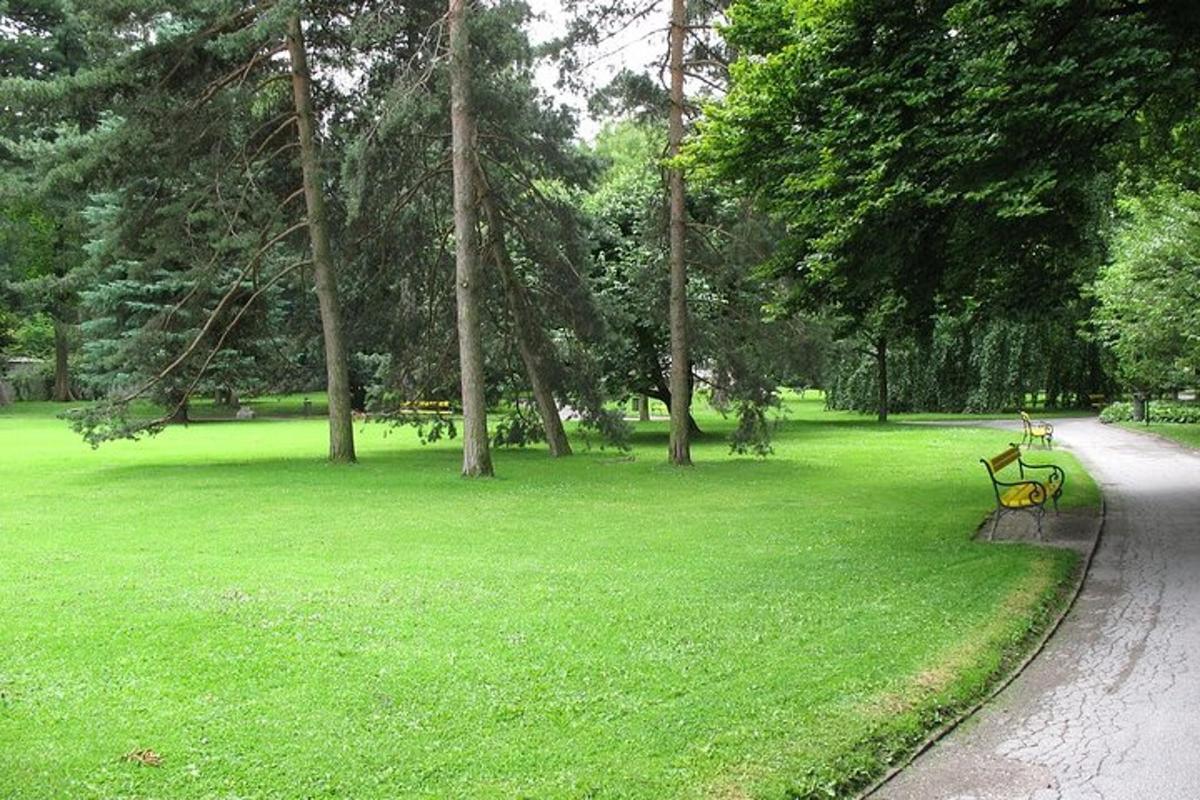 un parco con una panchina sull'erba