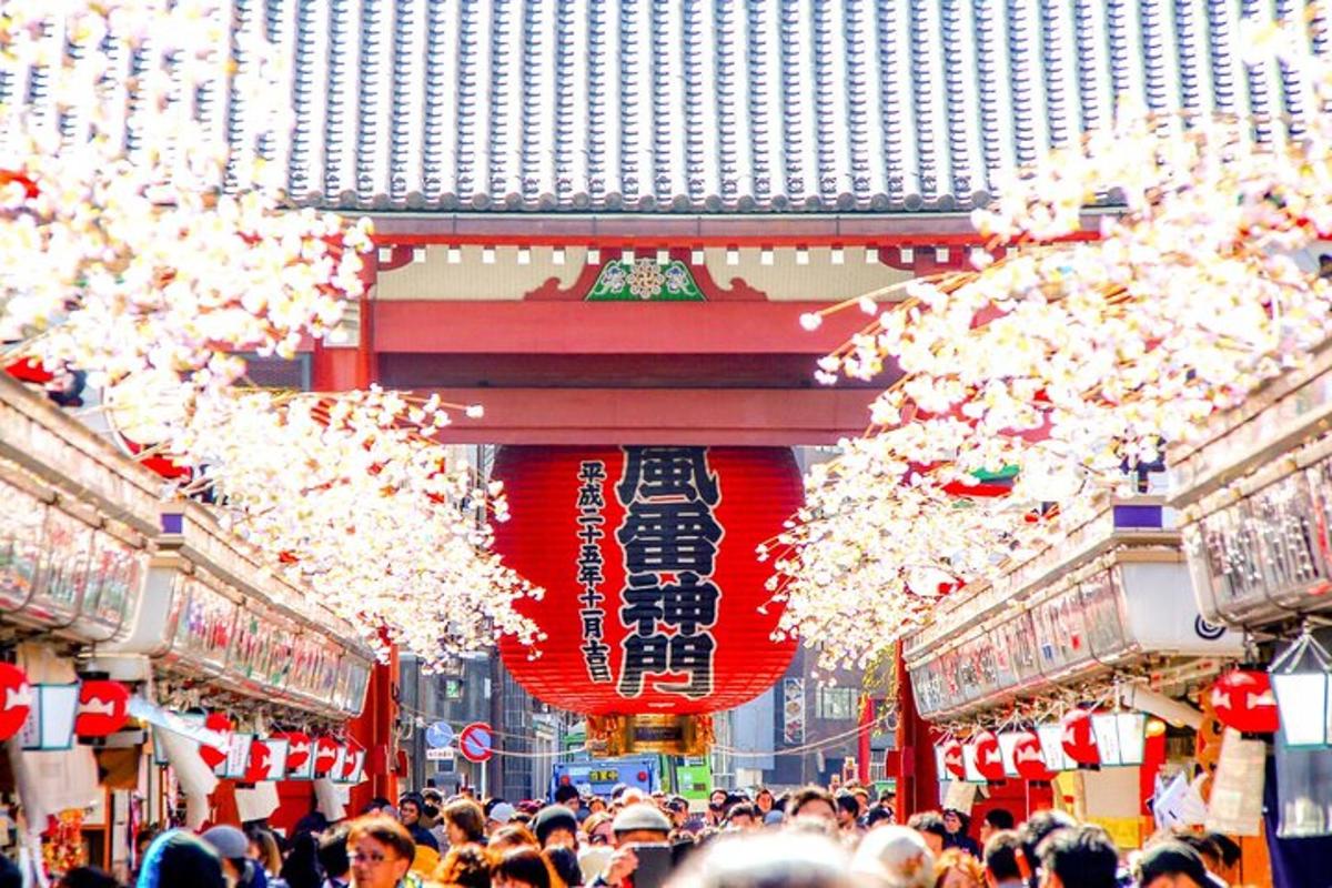 a crowd of people walking down a street with christmas lights