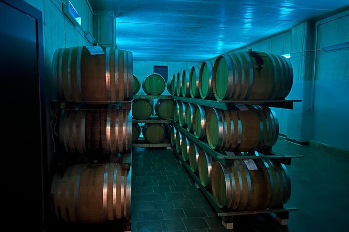 uma fileira de barris de vinho alinhados em uma sala