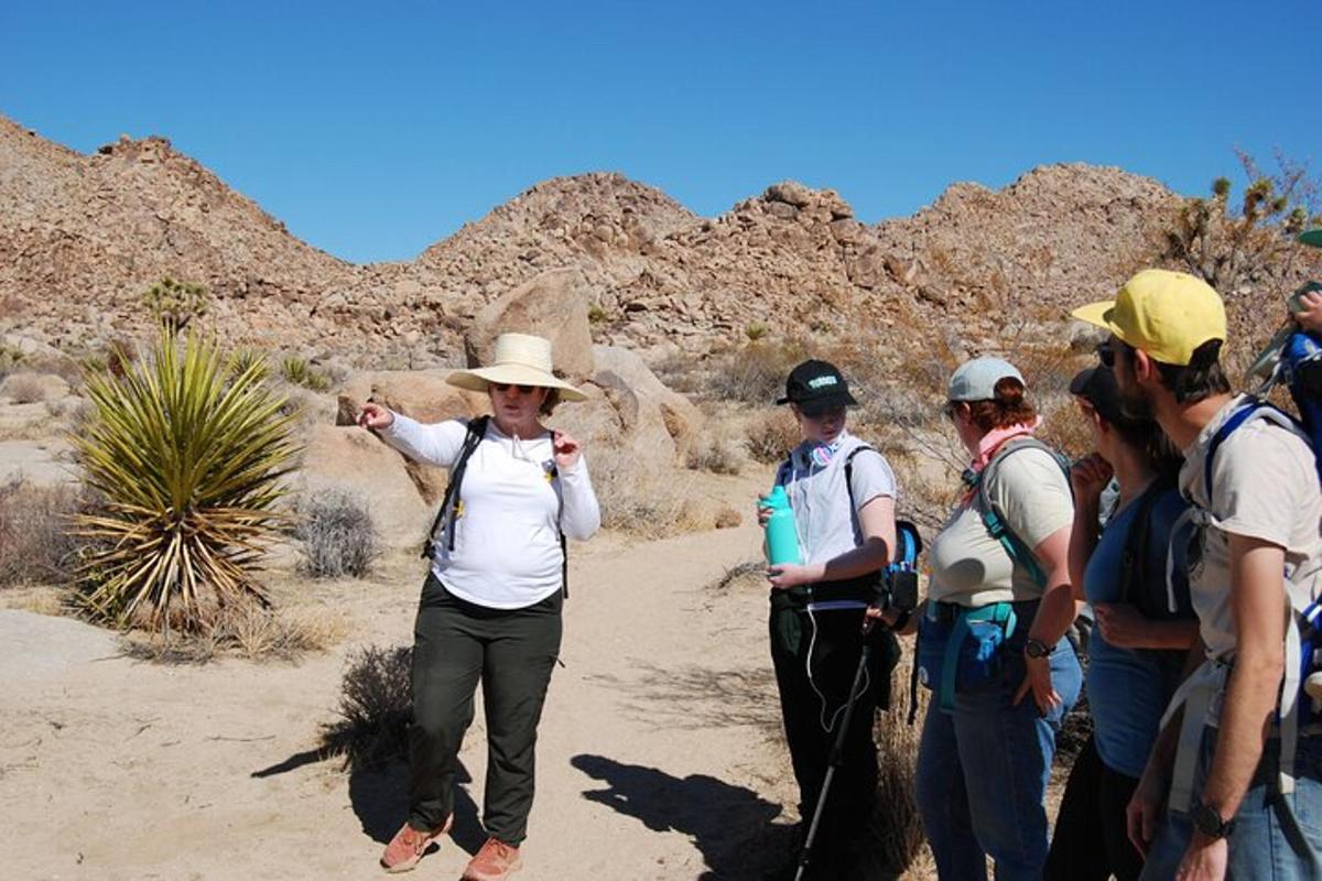 a group of people standing in the desert