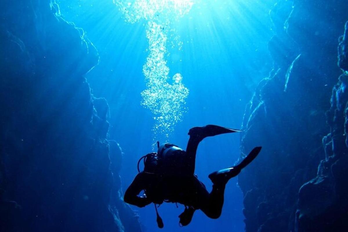 Una persona está nadando en el agua del océano.