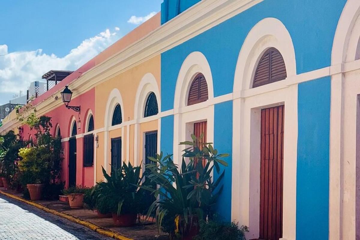 a colorful building with plants in front of it