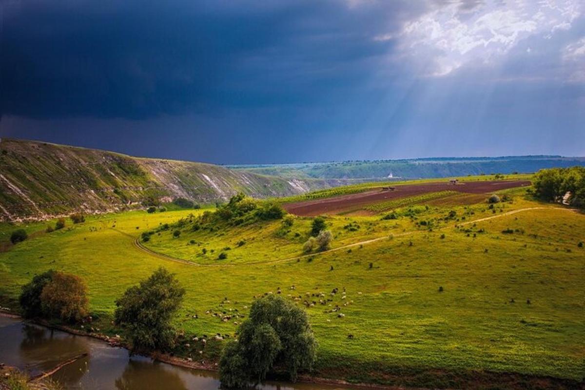 un campo verde con animali su una collina vicino a un fiume