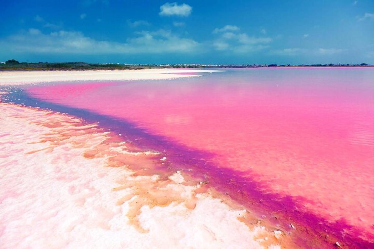 una gran masa de agua rosada en una playa