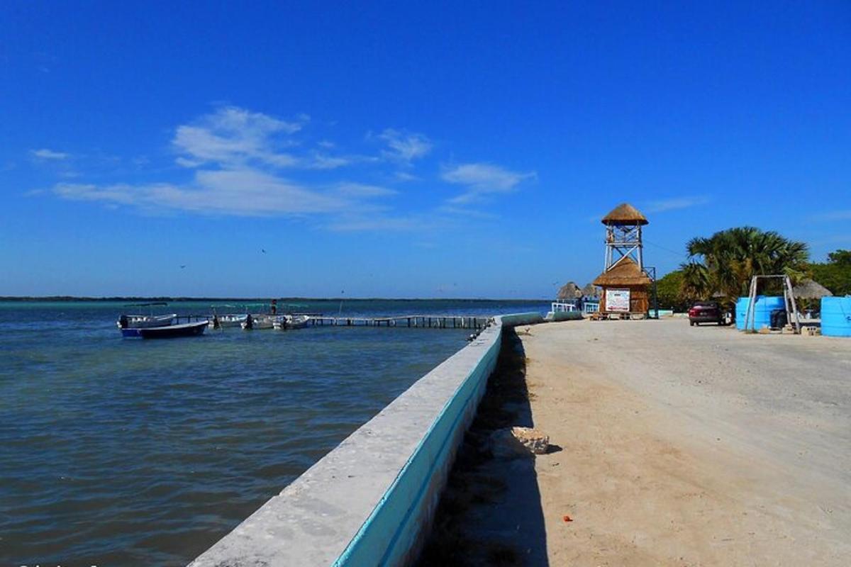 una playa con un muelle y barcos en el agua