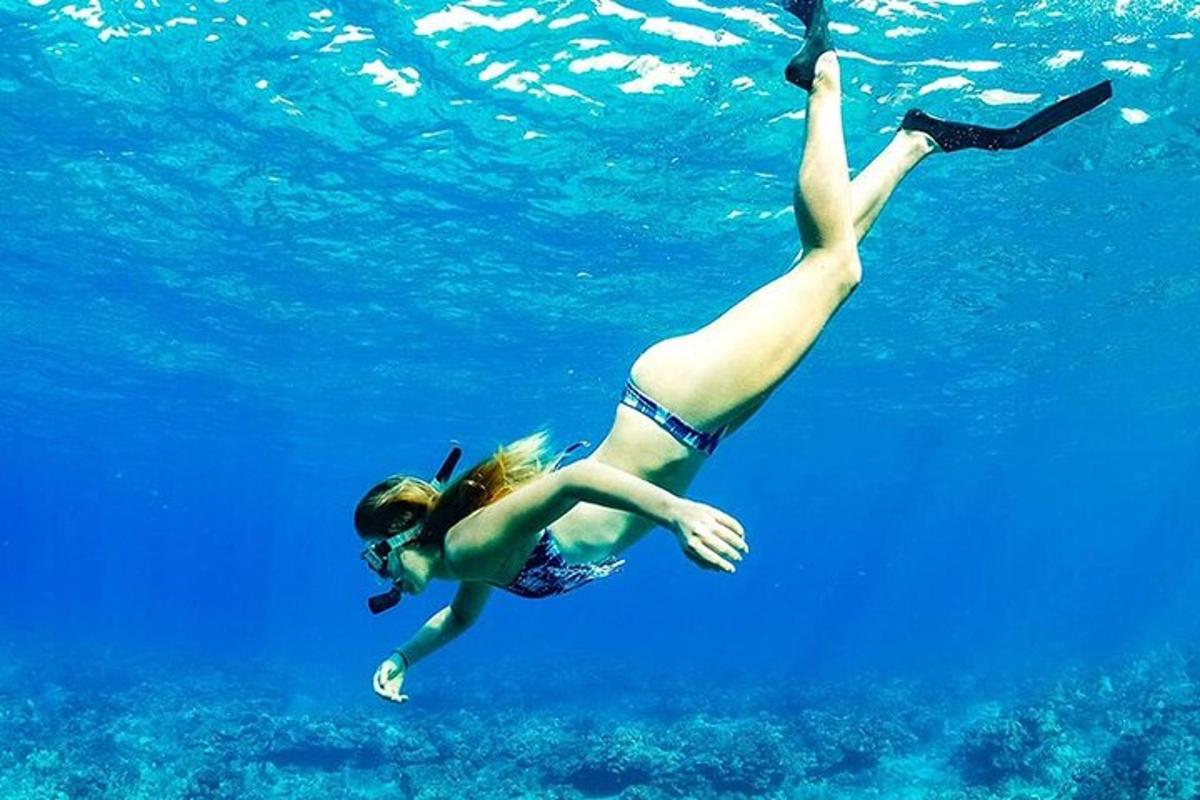 seorang wanita berenang di dalam air di lautan