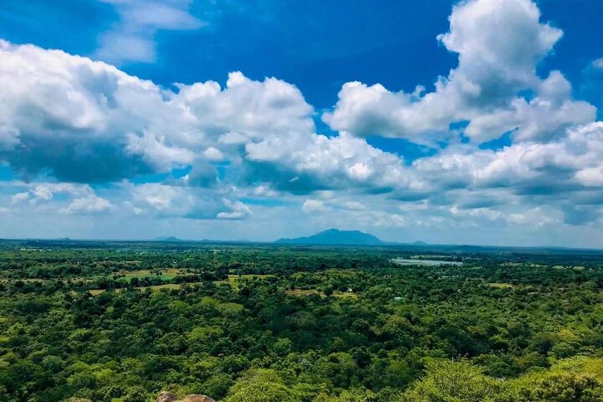 o vedere aeriană a unei zone împădurite cu cer înnorat