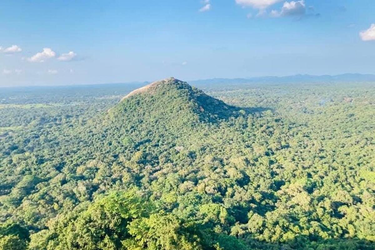 o vedere aeriană a unui munte acoperit de copaci