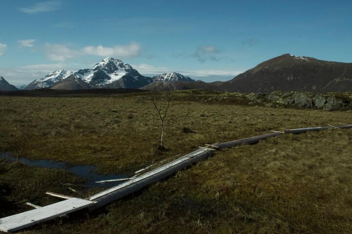 a pipeline in a field with mountains in the background